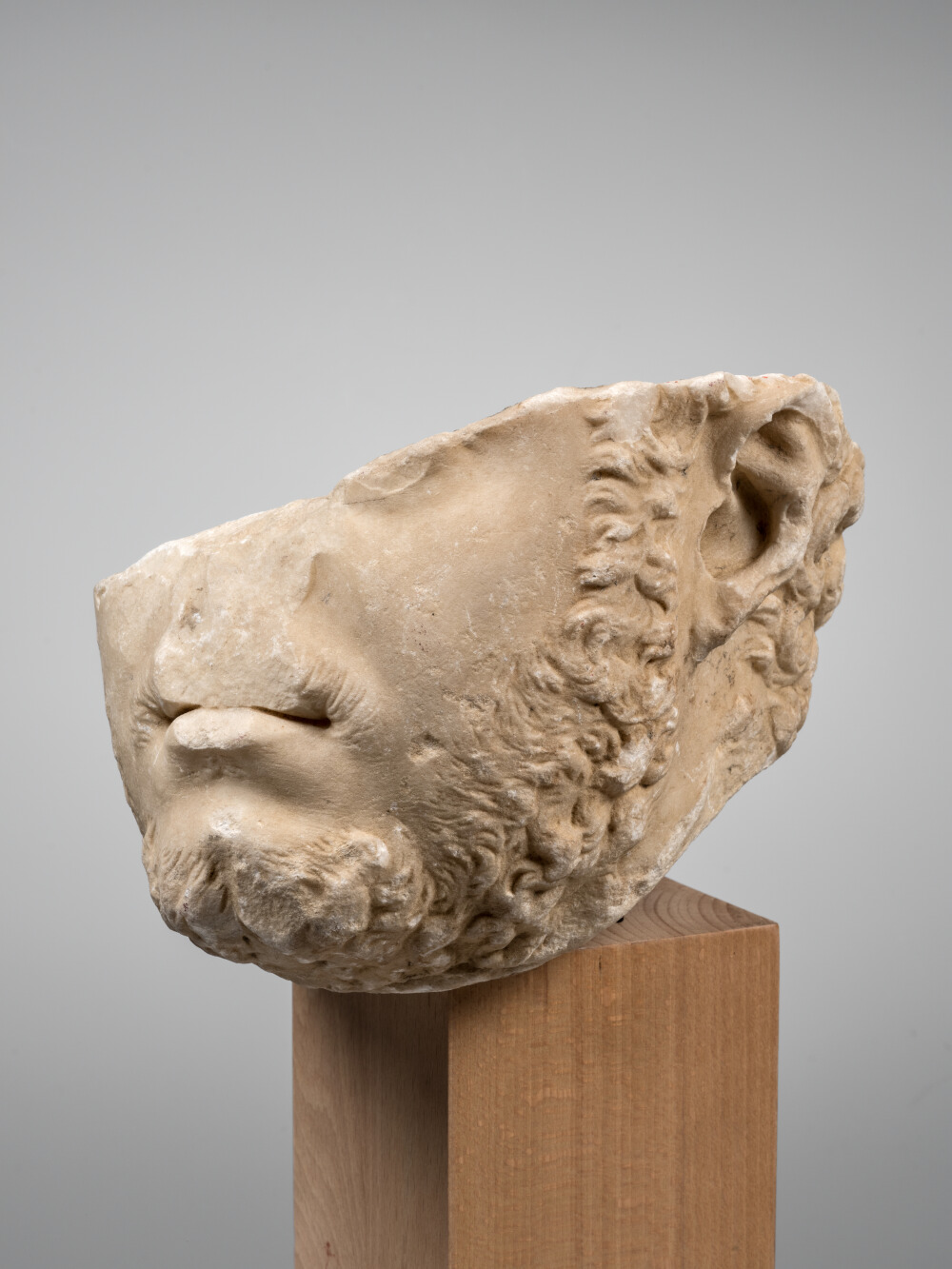 Incomplete portrait of Caracalla