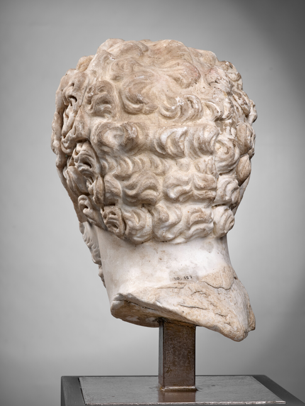 Head of Septimius Severus
