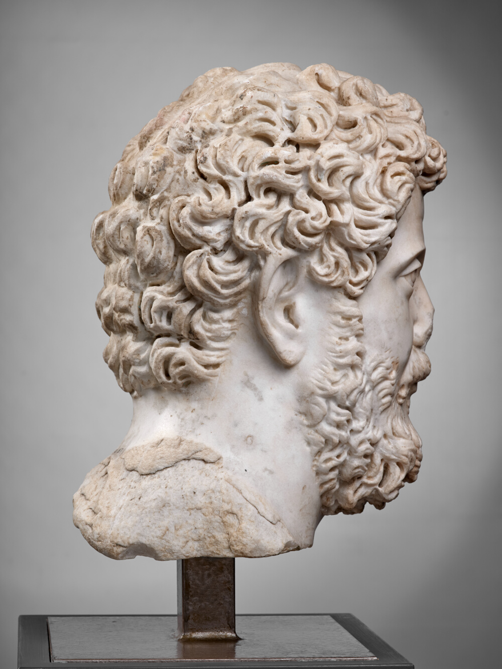 Head of Septimius Severus
