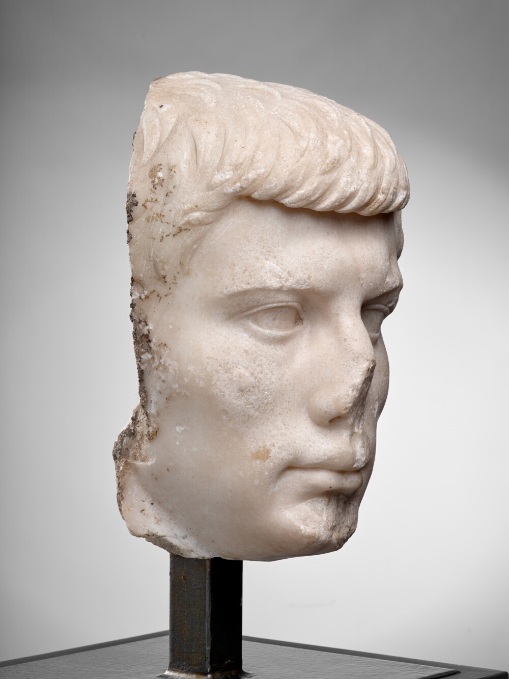Head of an adolescent boy (Tiberius Gemellus ?)