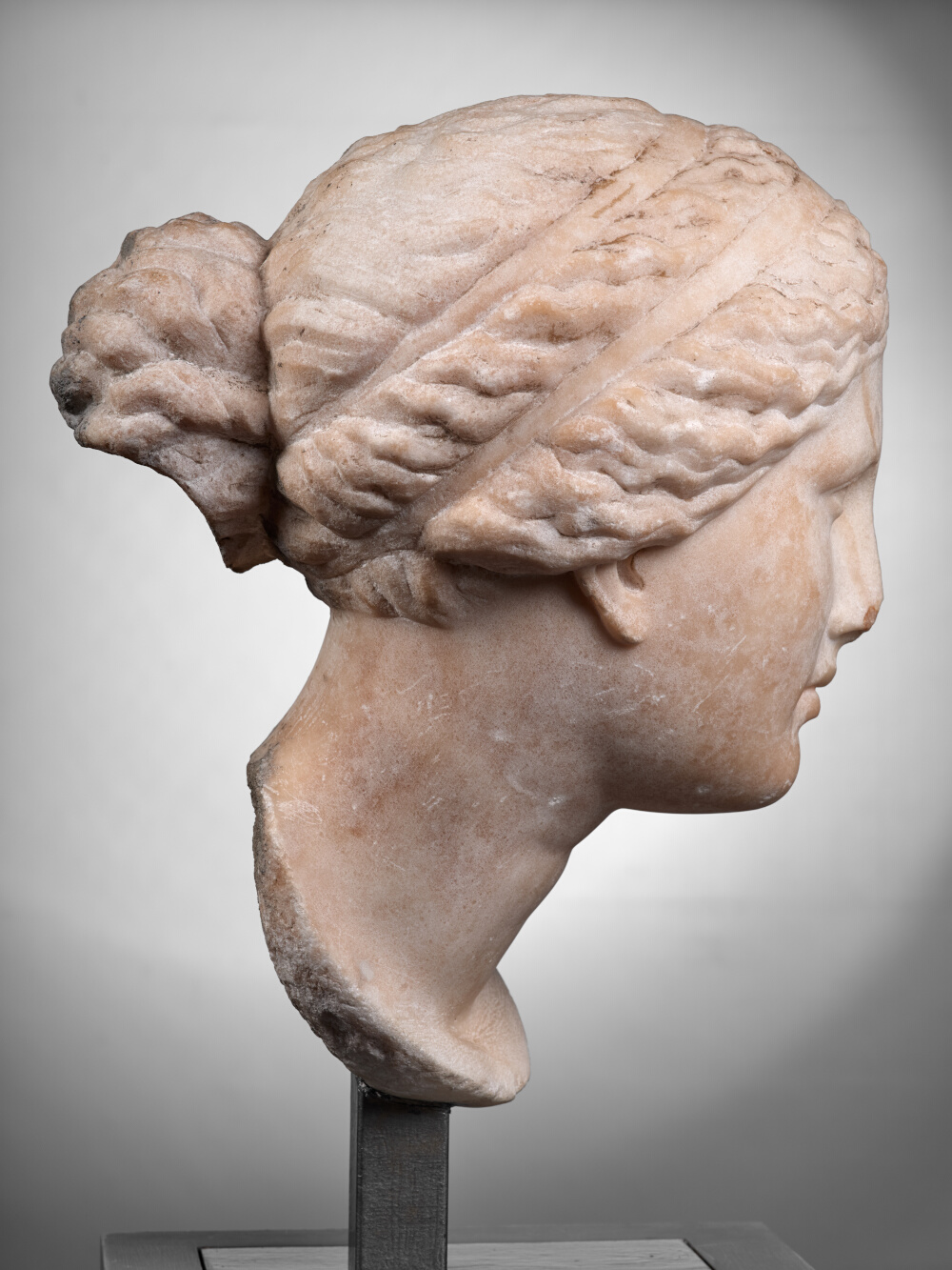 Head of Venus
