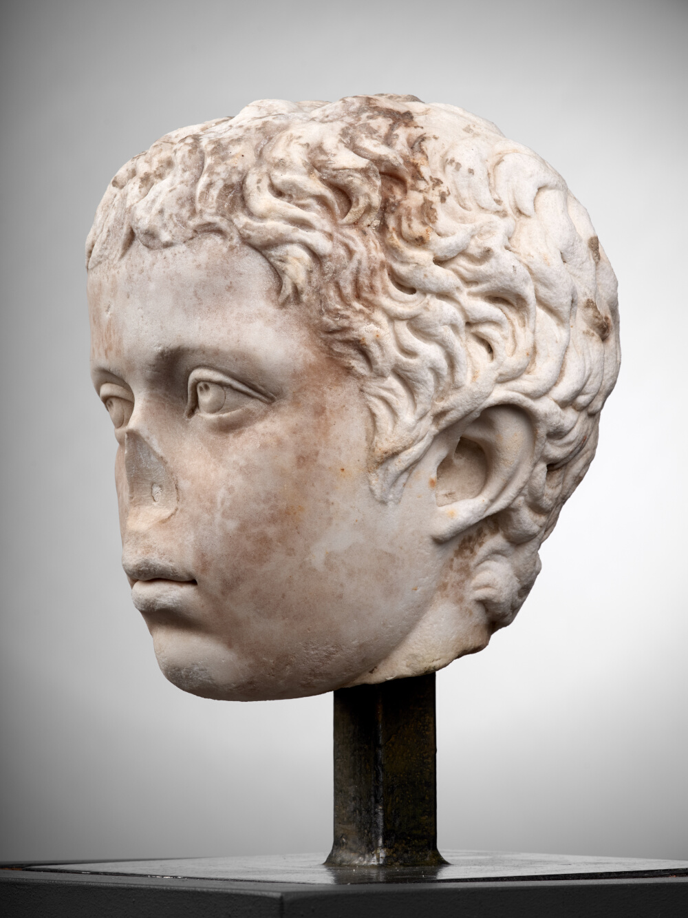 Head of a young boy (Gaius Fulvius Plautius Hortensianus ?)