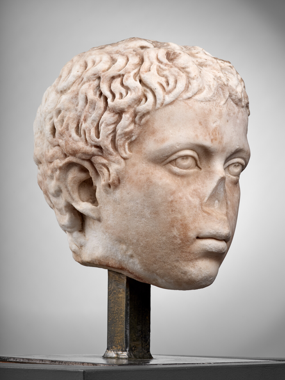 Head of a young boy (Gaius Fulvius Plautius Hortensianus ?)