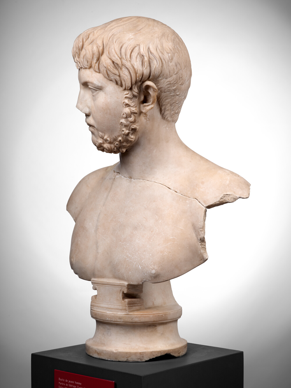 Bust of a young man